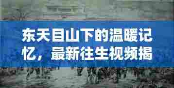 东天目山下的温暖记忆,最新往生视频揭秘11月14日的日常奇迹