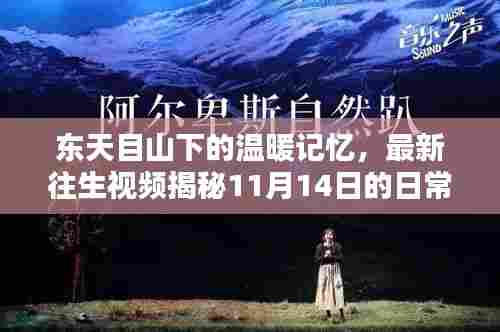 东天目山下的温暖记忆,最新往生视频揭秘11月14日的日常奇迹