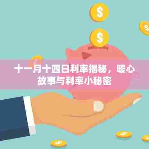 十一月十四日利率揭秘，暖心故事与利率小秘密