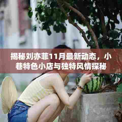 揭秘刘亦菲11月最新动态，小巷特色小店与独特风情探秘