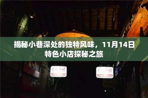 揭秘小巷深处的独特风味,11月14日特色小店探秘之旅