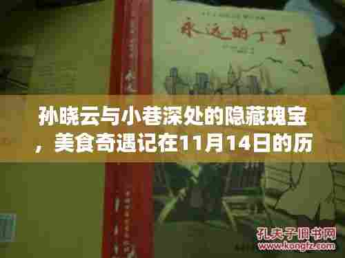 孙晓云与小巷深处的隐藏瑰宝,美食奇遇记在11月14日的历史时刻