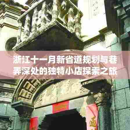 浙江十一月新省道规划与巷弄深处的独特小店探索之旅