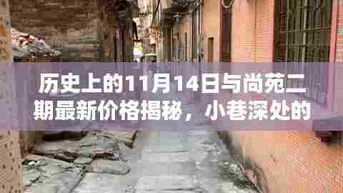 历史上的11月14日与尚苑二期最新价格揭秘，小巷深处的秘境探秘