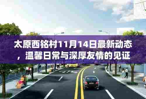 太原西铭村11月14日最新动态，温馨日常与深厚友情的见证