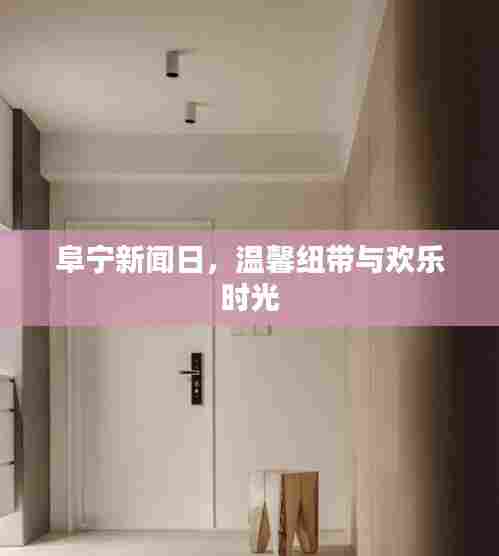 阜宁新闻日，温馨纽带与欢乐时光