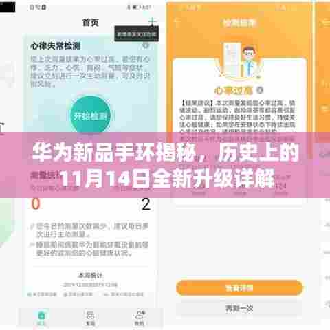 华为新品手环揭秘,历史上的11月14日全新升级详解