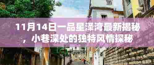 11月14日一品星泽湾最新揭秘，小巷深处的独特风情探秘