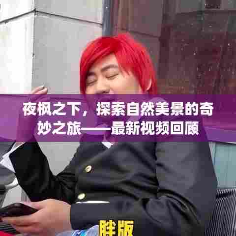 夜枫之下，探索自然美景的奇妙之旅——最新视频回顾