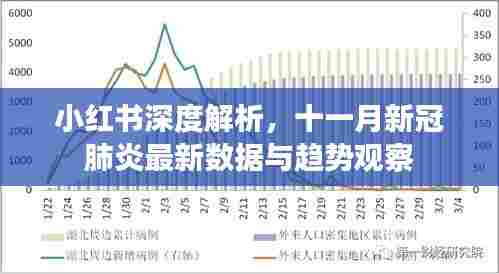 小红书深度解析，十一月新冠肺炎最新数据与趋势观察