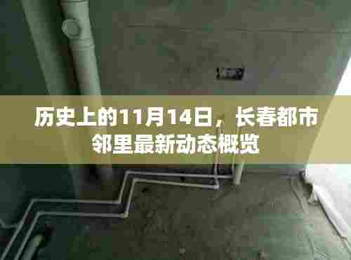 历史上的11月14日，长春都市邻里最新动态概览
