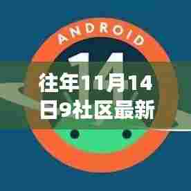 往年11月14日9社区最新动态回顾与展望,趋势分析与展望