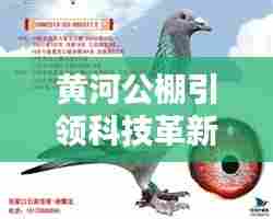 黄河公棚引领科技革新，揭秘最新高科技产品，开启未来生活新篇章体验