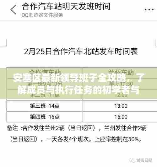 安塞区最新领导班子全攻略，了解成员与执行任务的初学者与进阶用户指南（往年11月14日更新）