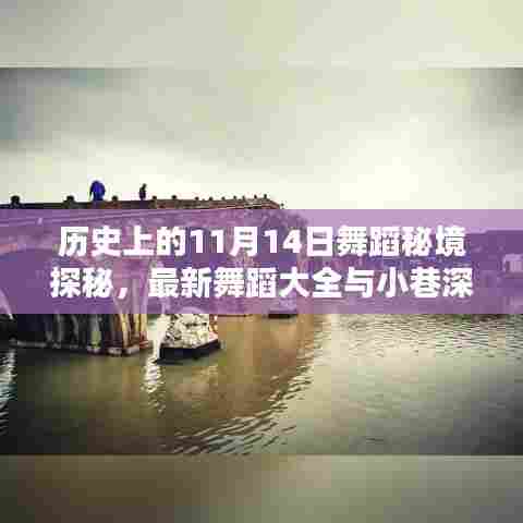 历史上的11月14日舞蹈秘境探秘，最新舞蹈大全与小巷深处的舞蹈风采