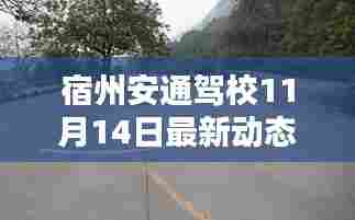 宿州安通驾校11月14日最新动态深度评测与介绍揭秘