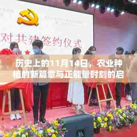 历史上的11月14日，农业种植的新篇章与正能量时刻的启示