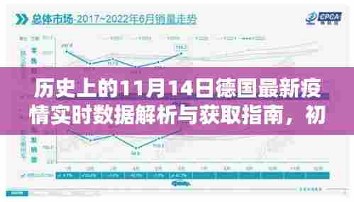 历史上的11月14日德国最新疫情实时数据解析与获取指南，初学者与进阶用户适用