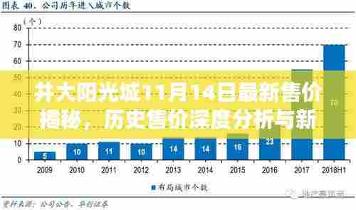 井大阳光城11月14日最新售价揭秘，历史售价深度分析与新动态聚焦