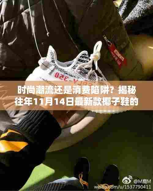 时尚潮流还是消费陷阱？揭秘往年11月14日最新款椰子鞋的真相