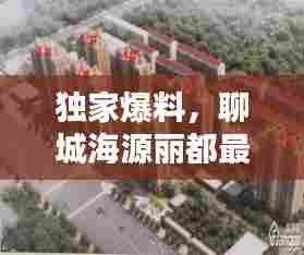 独家爆料，聊城海源丽都最新动态揭秘，11月14日惊艳呈现！