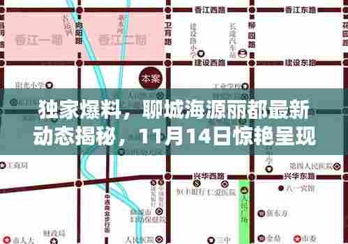 独家爆料,聊城海源丽都最新动态揭秘,11月14日惊艳呈现!