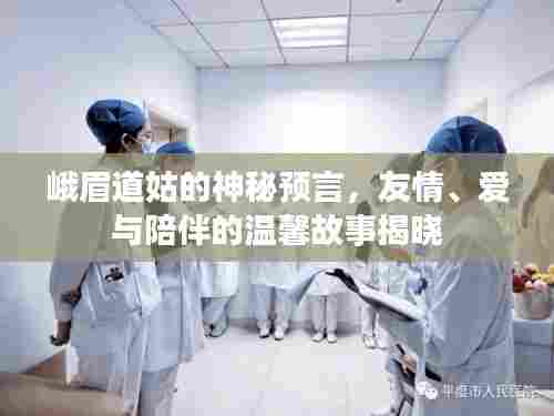 峨眉道姑的神秘预言，友情、爱与陪伴的温馨故事揭晓