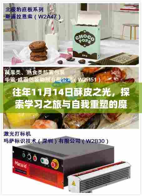 往年11月14日酥皮之光,探索学习之旅与自我重塑的魔法时刻