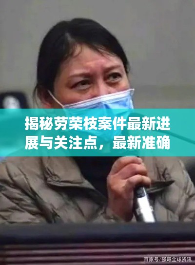 揭秘劳荣枝案件最新进展与关注点,最新准确消息汇总(11月14日)