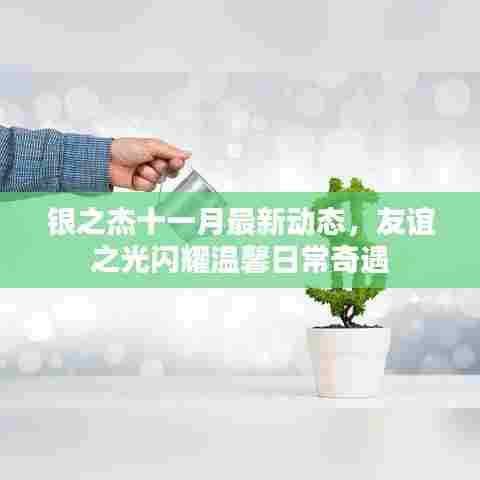 银之杰十一月最新动态，友谊之光闪耀温馨日常奇遇
