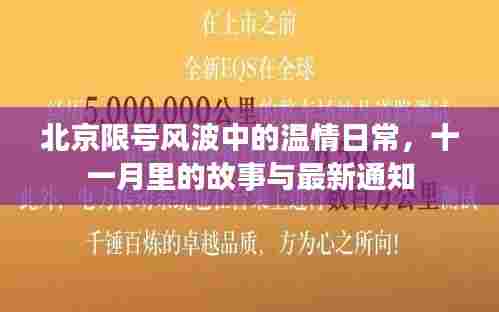 北京限号风波中的温情日常，十一月里的故事与最新通知