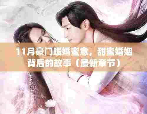 11月豪门暖婚蜜意，甜蜜婚姻背后的故事（最新章节）