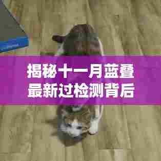 揭秘十一月蓝叠最新过检测背后的秘密,无忧生活的秘籍分享在小红书上