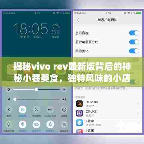 揭秘vivo rev最新版背后的神秘小巷美食，独特风味的小店探索