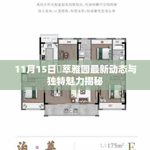 11月15日璟萃雅园最新动态与独特魅力揭秘