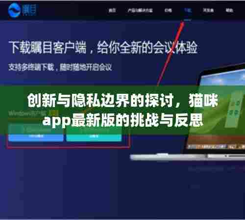 创新与隐私边界的探讨，猫咪app最新版的挑战与反思