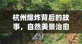 明目张胆 第6页