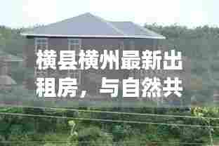 不修边幅 第6页