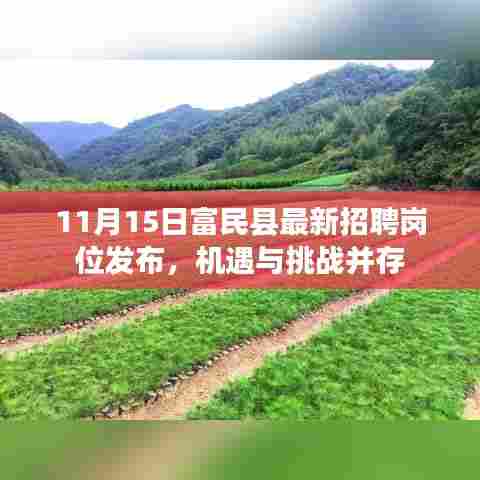 11月15日富民县最新招聘岗位发布，机遇与挑战并存
