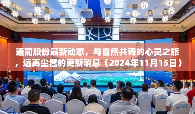 通葡股份最新动态,与自然共舞的心灵之旅,远离尘嚣的更新消息(2024年11月15日)