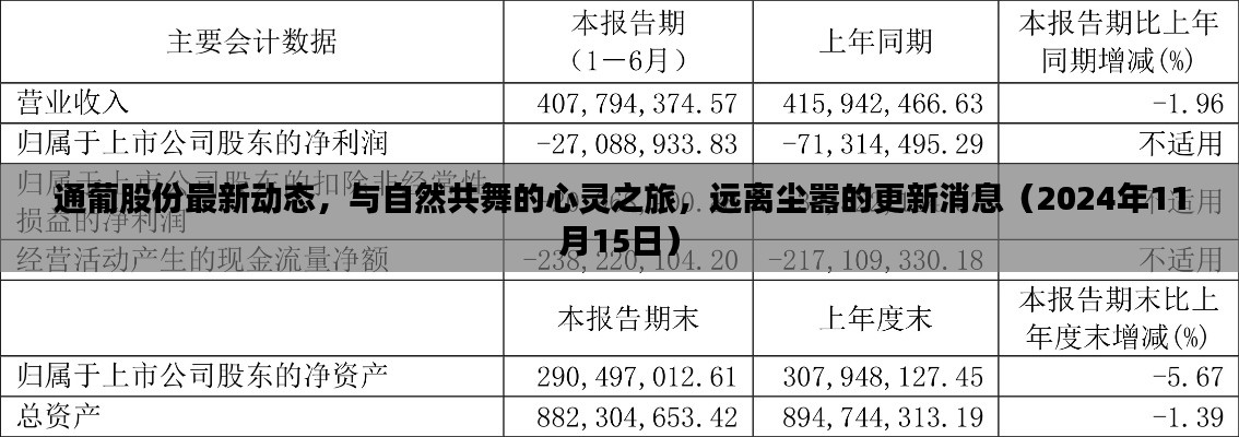 通葡股份最新动态,与自然共舞的心灵之旅,远离尘嚣的更新消息(2024年11月15日)