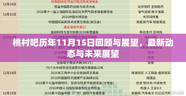 桃村吧历年11月15日回顾与展望,最新动态与未来展望