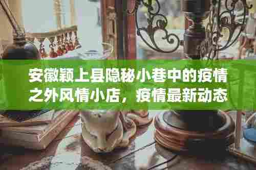 安徽颖上县隐秘小巷中的疫情之外风情小店，疫情最新动态与风情体验