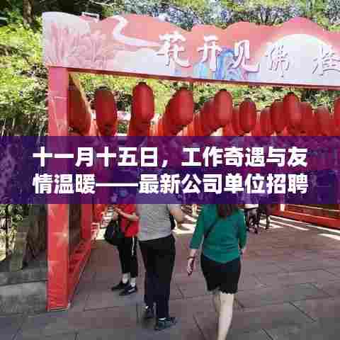 十一月十五日，工作奇遇与友情温暖——最新公司单位招聘信息