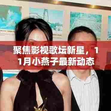 聚焦影视歌坛新星，11月小燕子最新动态闪耀时刻