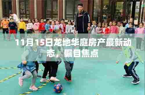 11月15日龙地华庭房产最新动态，瞩目焦点