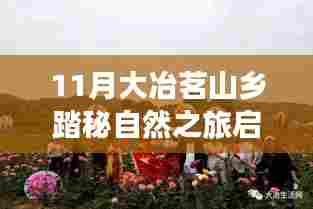 11月大冶茗山乡踏秘自然之旅启程，心灵之旅的最新报道
