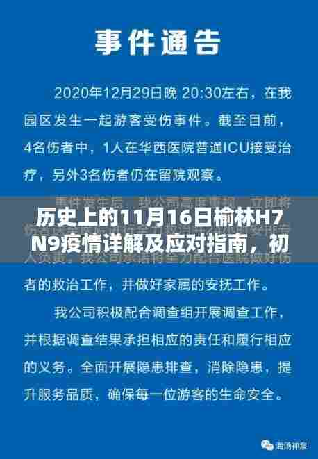 历史上的11月16日榆林H7N9疫情详解及应对指南，初学者与进阶用户的必备参考