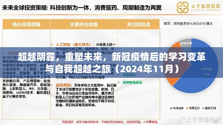超越阴霾，重塑未来，新冠疫情后的学习变革与自我超越之旅（2024年11月）