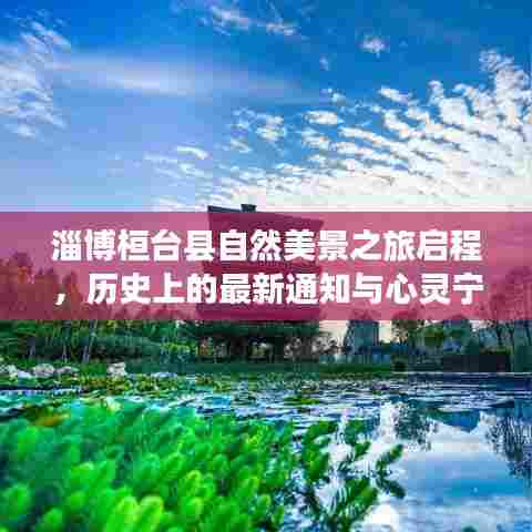 淄博桓台县自然美景之旅启程,历史上的最新通知与心灵宁静之旅启程